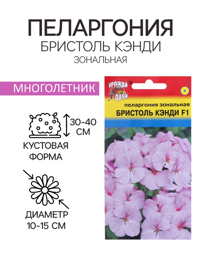 Семена цветов Пеларгония