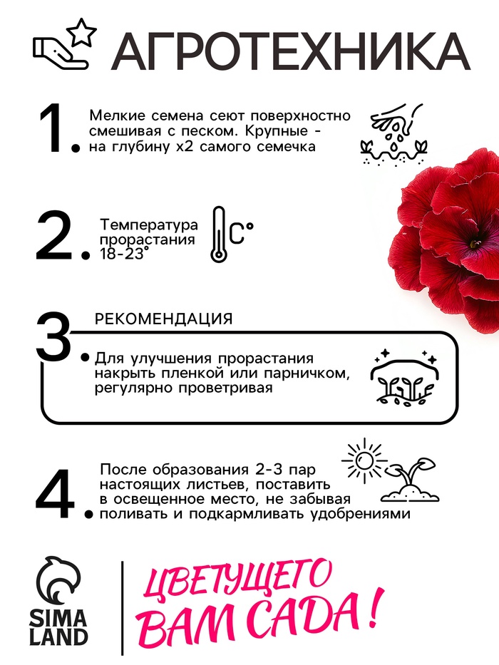 Семена Петуния