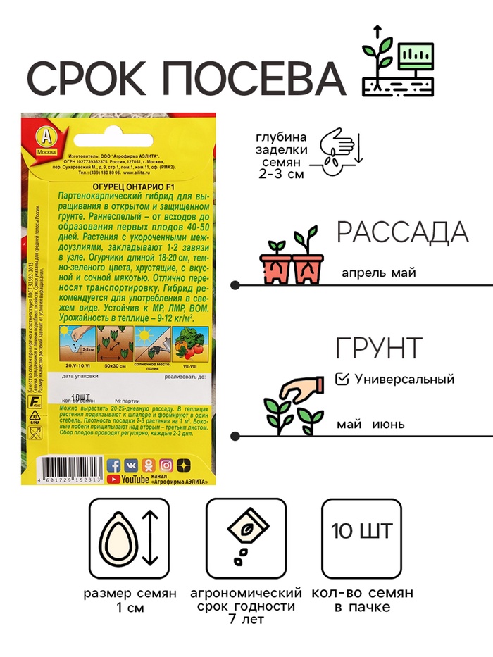 Семена Огурец