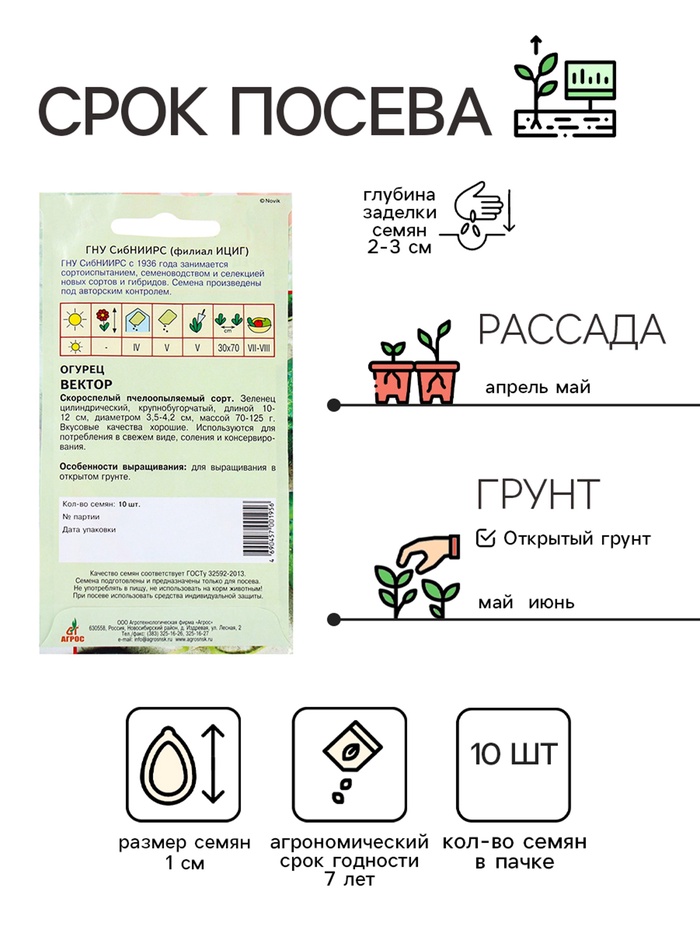 Семена Огурец