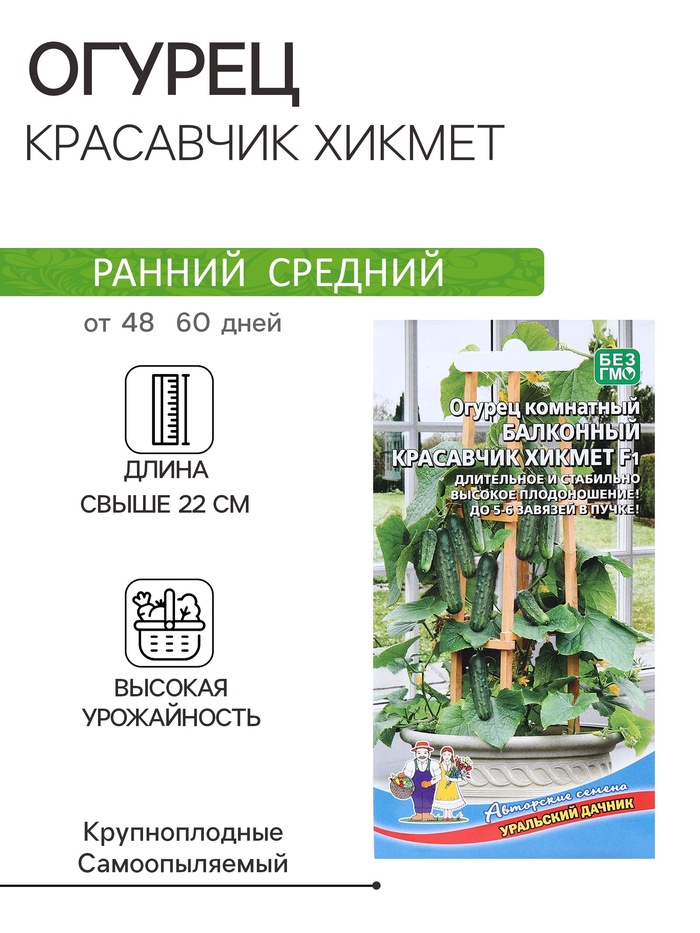 Семена Огурец