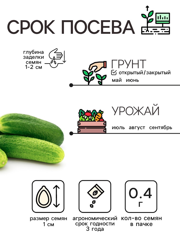 Семена Огурец