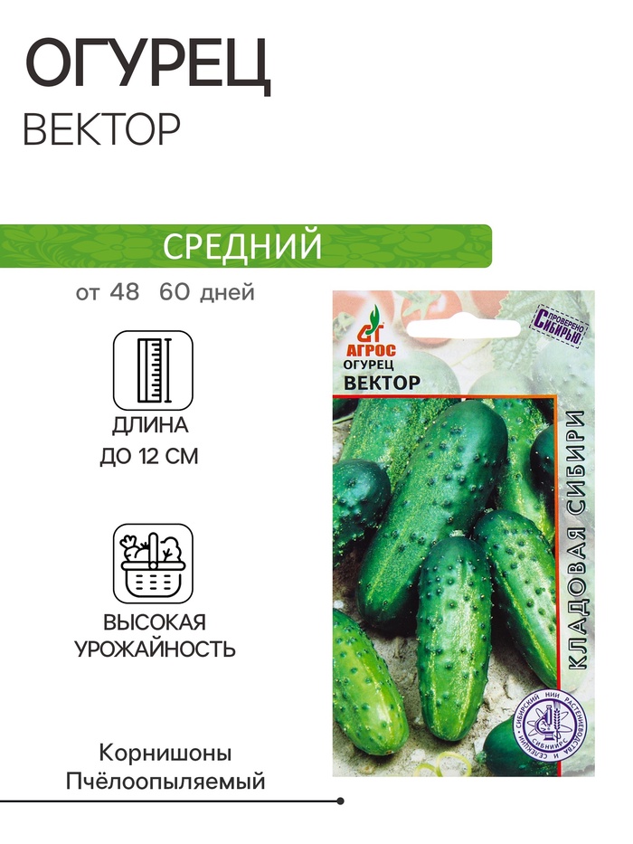 Семена Огурец