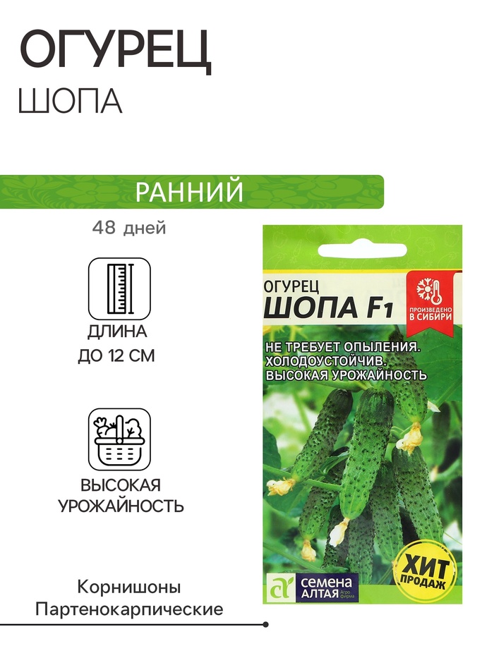 Семена Огурец