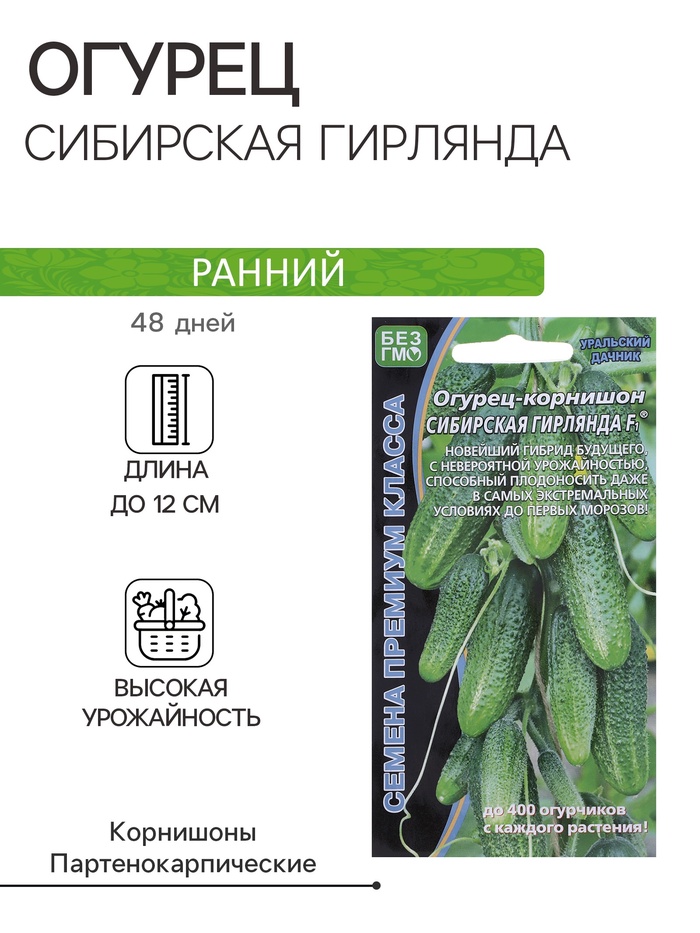 Семена Огурец