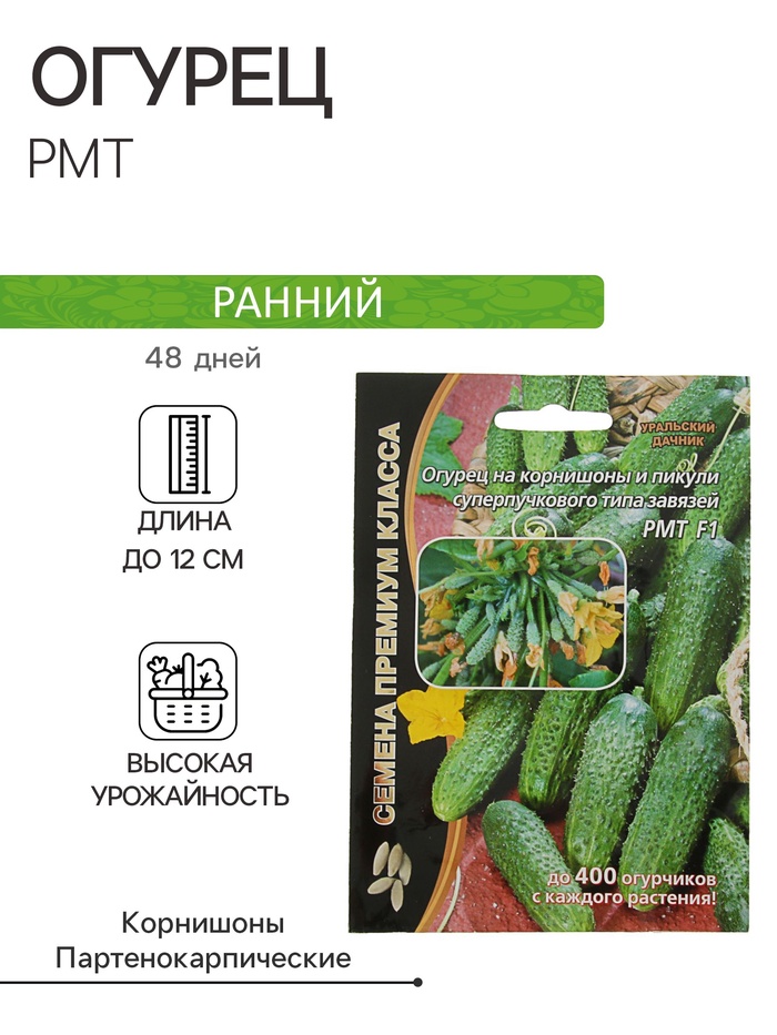 Семена Огурец