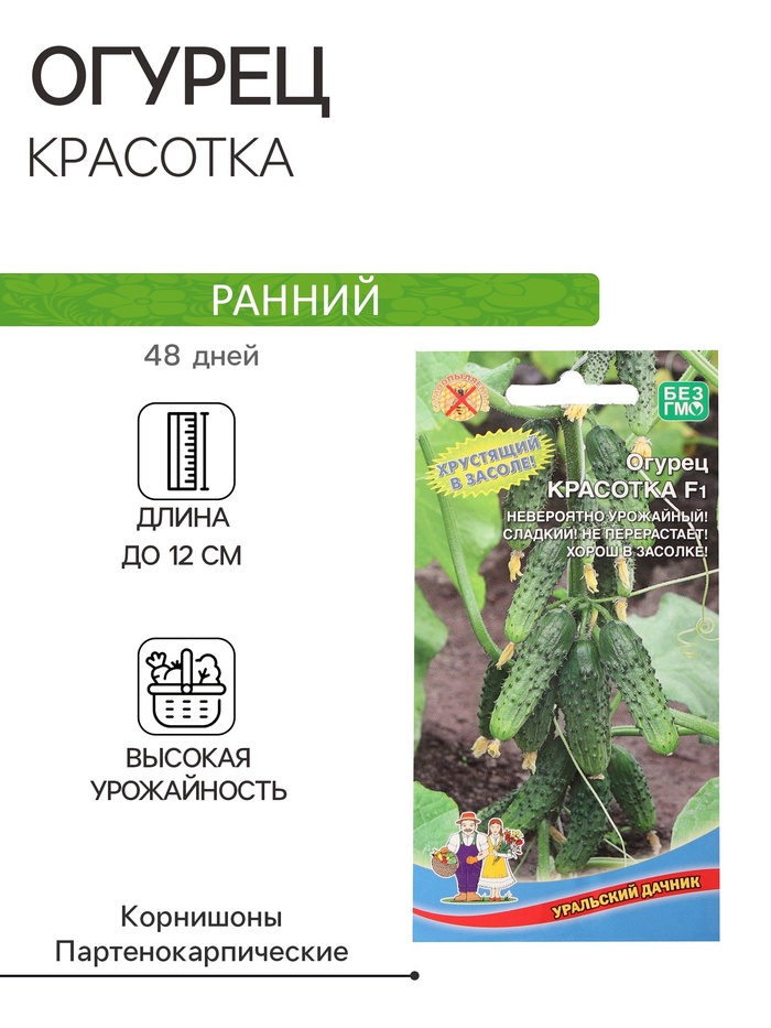Семена огурец «Красотка F1», 10 шт.