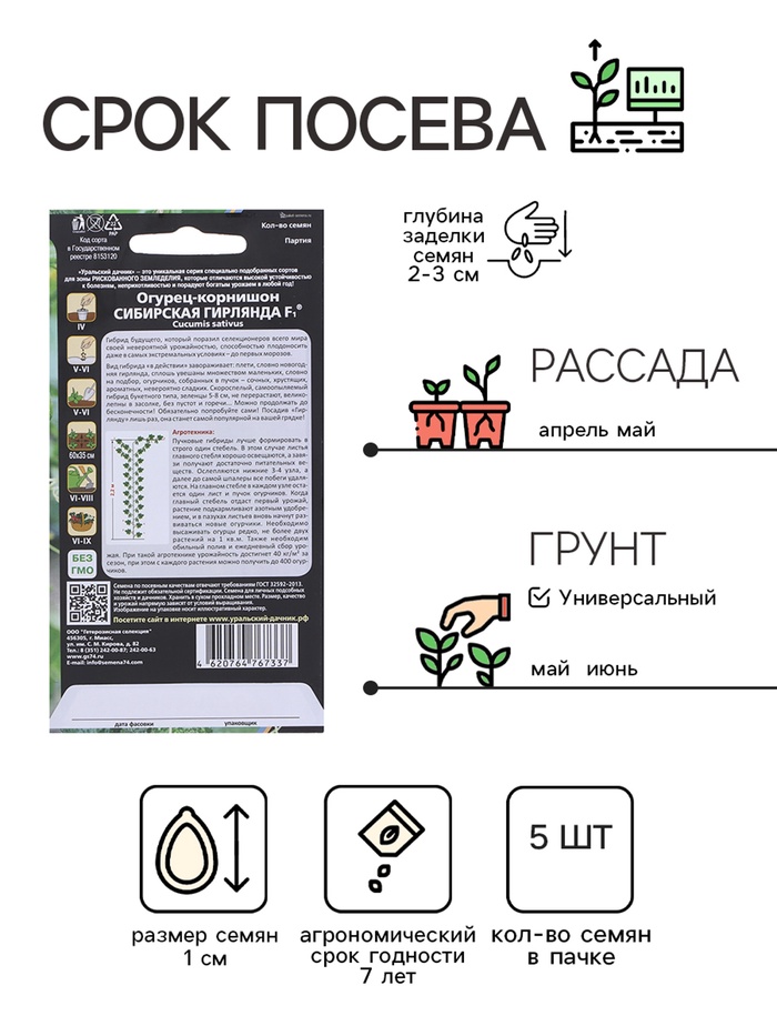 Семена Огурец