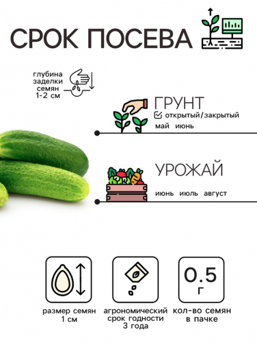 Семена Огурец 