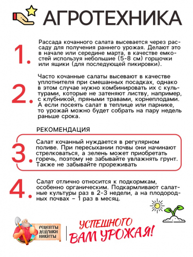 Семена Салат кочанный 
