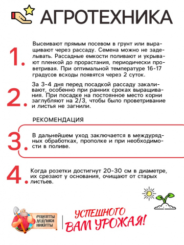 Семена Салат листовой 