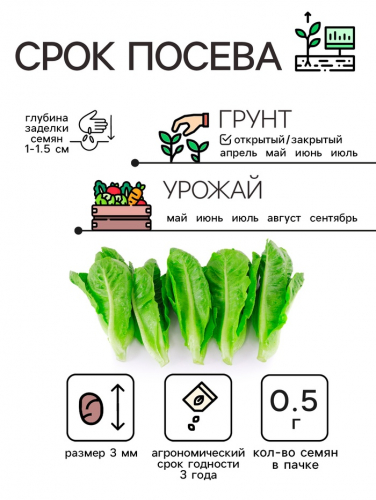 Семена Салат листовой 