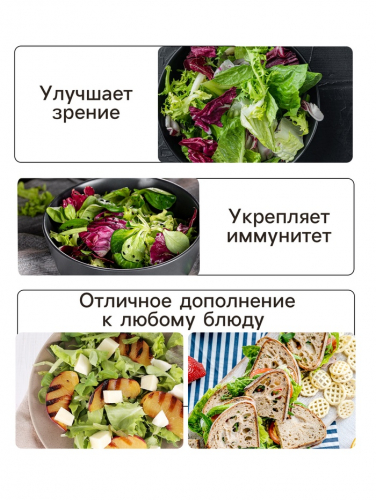 Семена Салат кочанный 