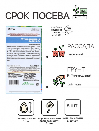 Семена огурца 