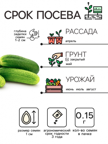 Семена Огурец 