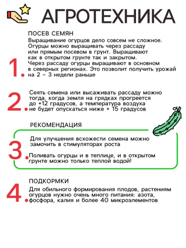 Семена Огурец Скороход, F1, 12шт