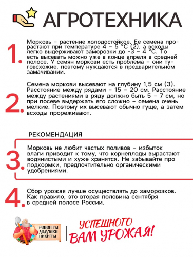 Семена Морковь 