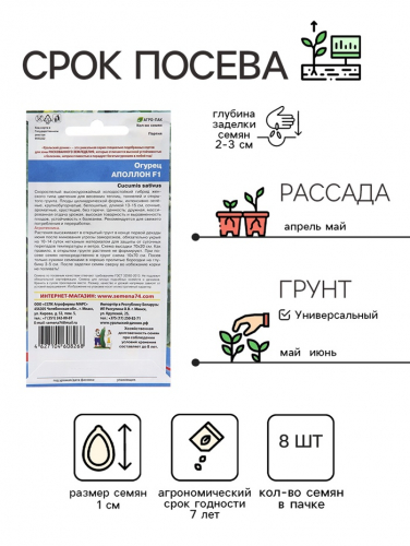 Семена Огурец 