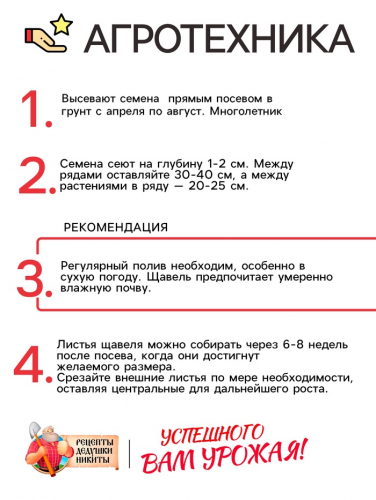 Семена Щавель 