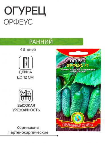 Семена Огурец 