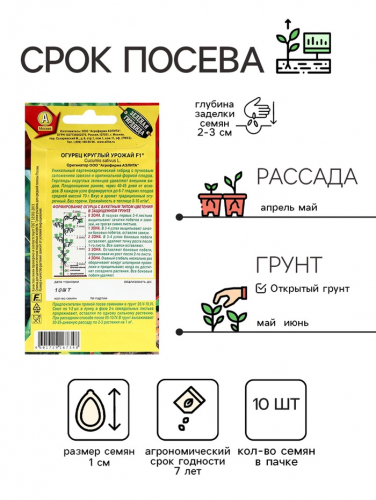 Семена Огурец 