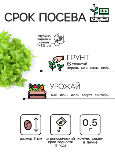 Семена Салат листовой 