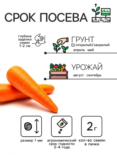 Семена Морковь 