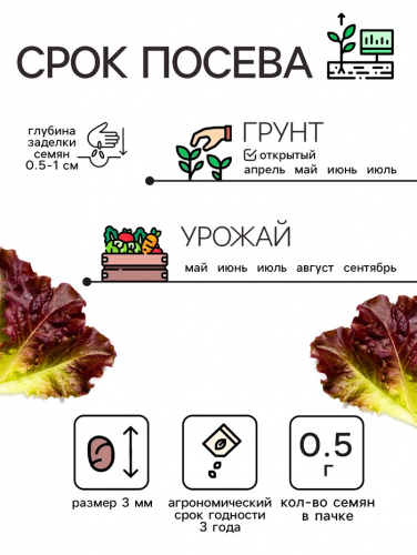 Семена Салат кочанный 
