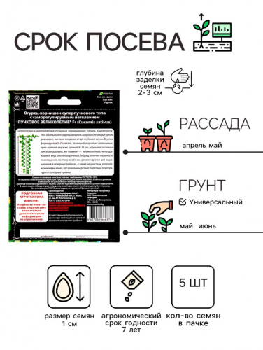 Семена Огурец 