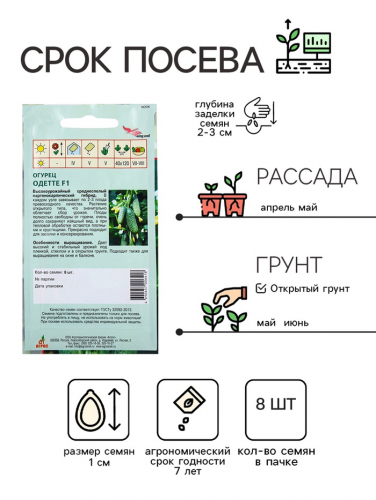 Семена Огурец