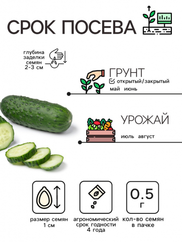 Семена Огурец 