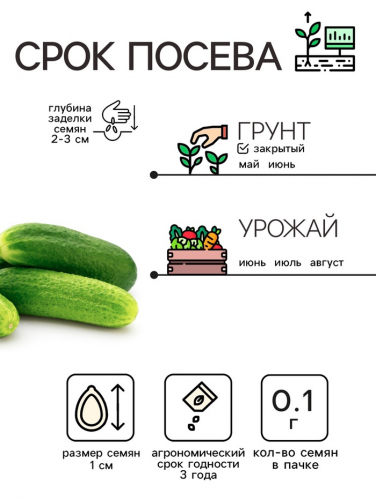 Семена Огурец 