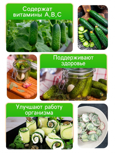 Семена Огурец 
