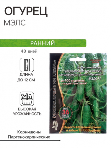 Семена Огурец 