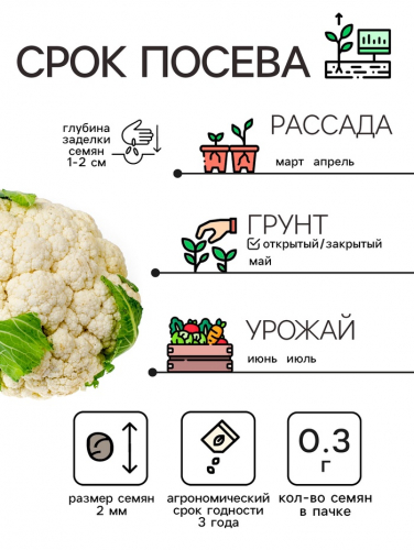 Семена Капуста цветная 