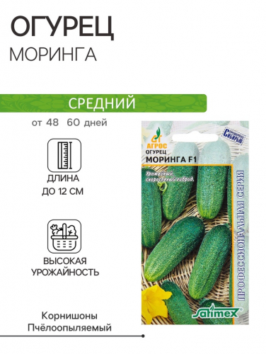 Семена Огурец