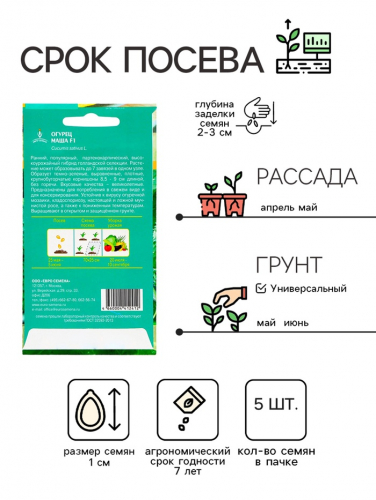 Семена Огурец 