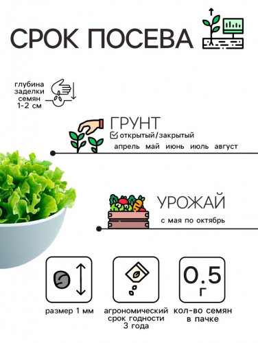 Семена Салат 