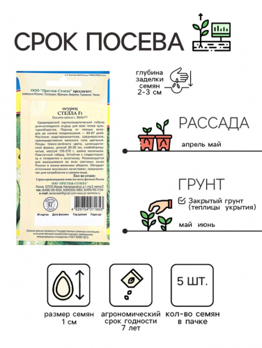 Семена Огурец 