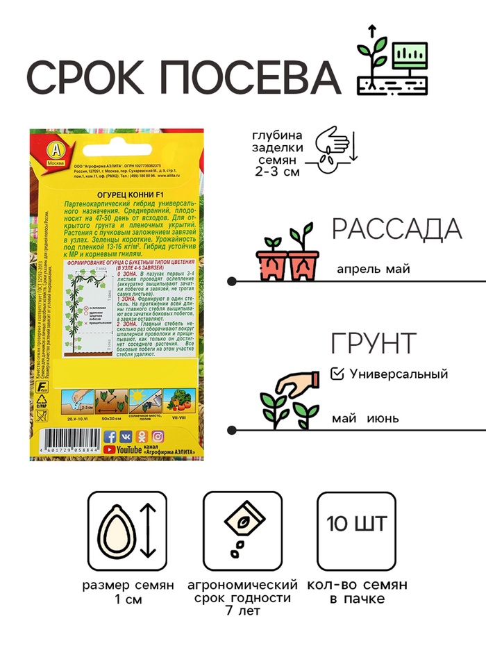 Семена Огурец