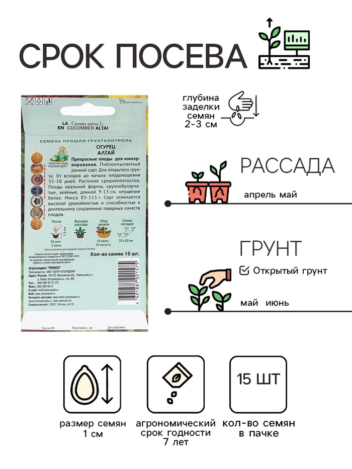 Семена Огурец
