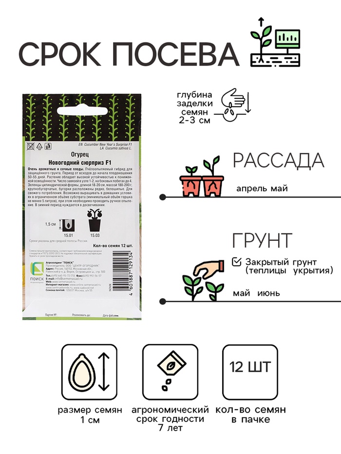Семена Огурец