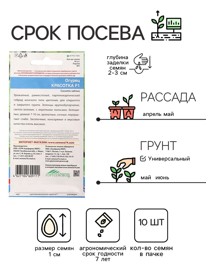 Семена огурец «Красотка F1», 10 шт.