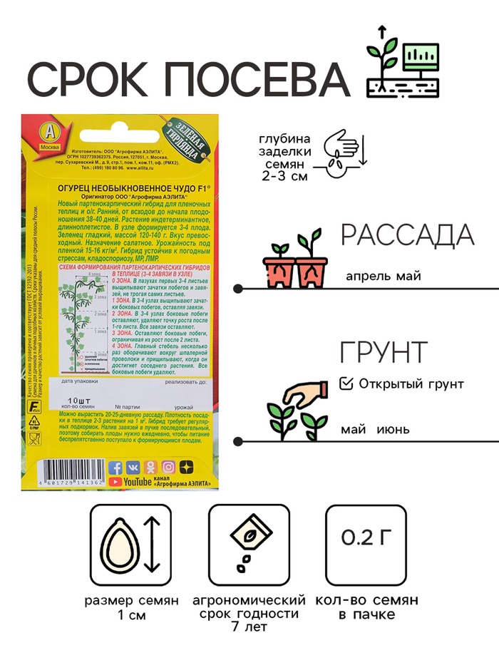 Семена Огурец