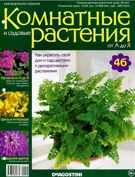 15 руб. +% 101 руб. В наличии 1 шт.!!! КОМНАТНЫЕ РАСТЕНИЯ от А до Я. Выпуск 46