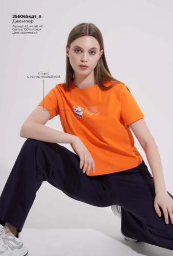  АКЦИЯ 653р. 750р.CLE Футболка жен. 256065кдт_п