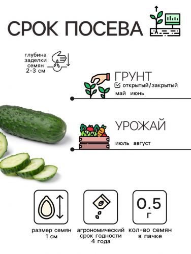 Семена Огурец 