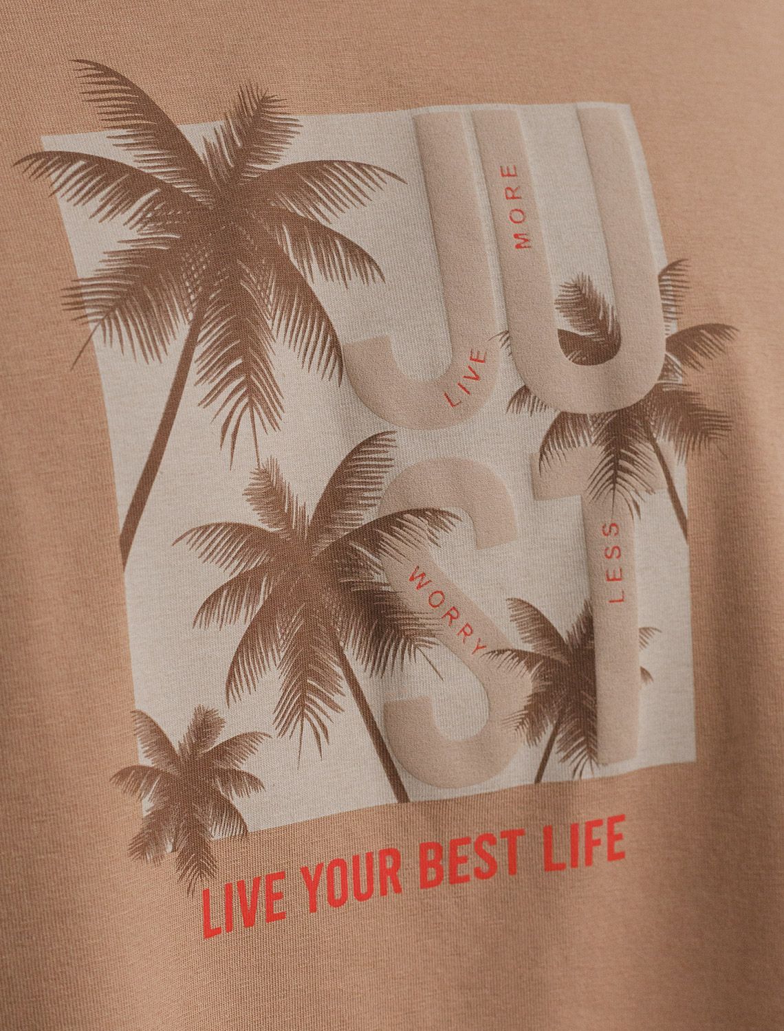 Свободная футболка с авторским принтом U49.048 коричневый_just