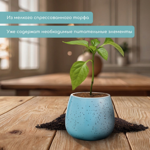 Таблетки торфяные, d=4.2 см, без оболочки, набор 12 шт.