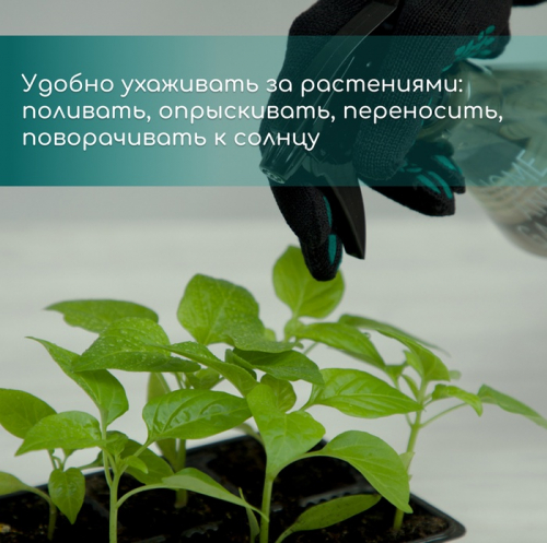 Кассета для рассады, 9 ячеек по 80 мл, пластик, чёрная, 18×13×6 см, Greengo